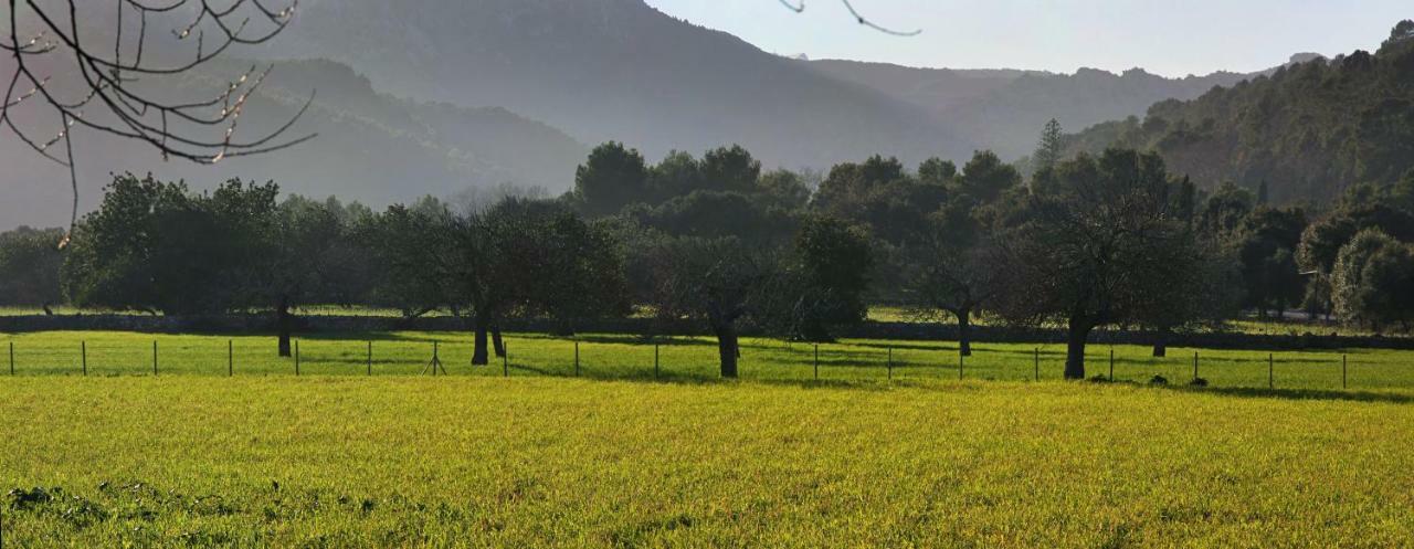 Holiday Home Can Pontico Pollenca Bagian luar foto